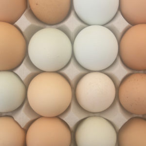 eggs from Beach Plum Farm